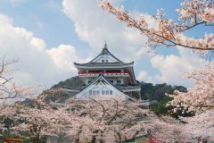 <strong>2023年日本出国留学培训项目招生简章</strong>